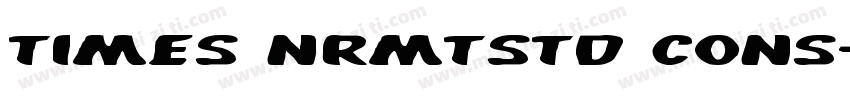 times nrmtstd cons字体转换